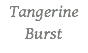 Tangerine Burst